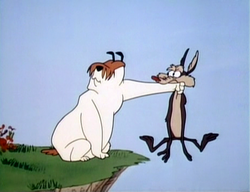 Sam and Ralph